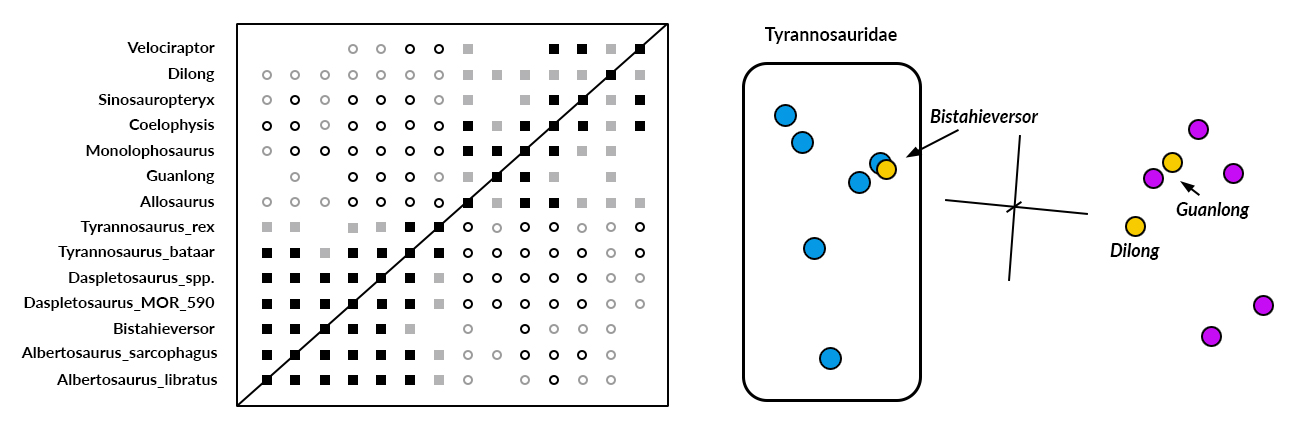 Baraminology Chart